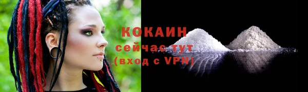 спиды Елизово