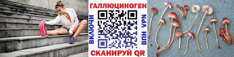 Галлюциногенные грибы ЛСД  Купить где  Устюжна 